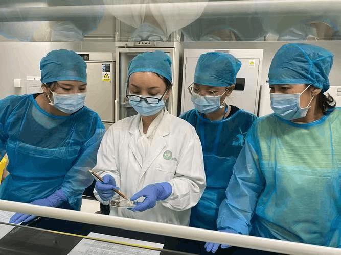 2026-01-07T02:28:18.png 2026-01-07T02:28:18.png